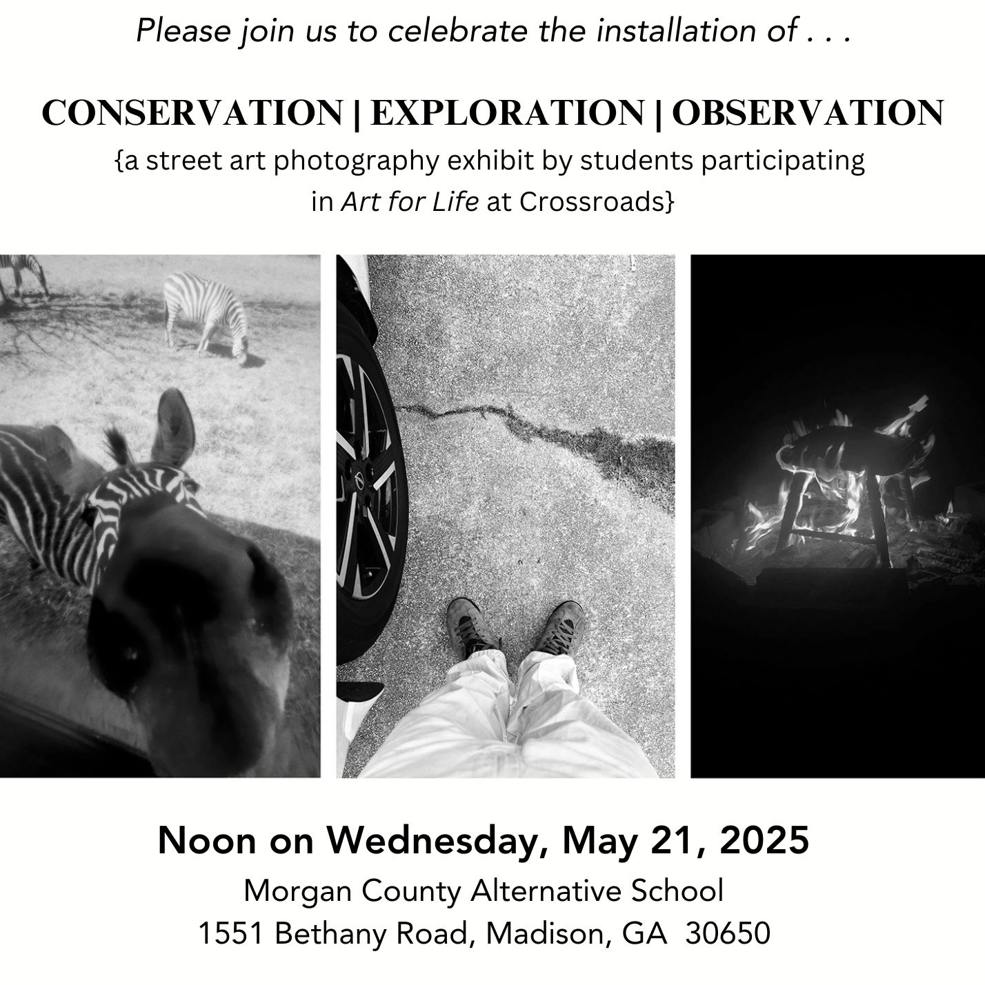  Art for Life Student Exhibition - CONSERVATION | EXPLORATION | OBSERVATION