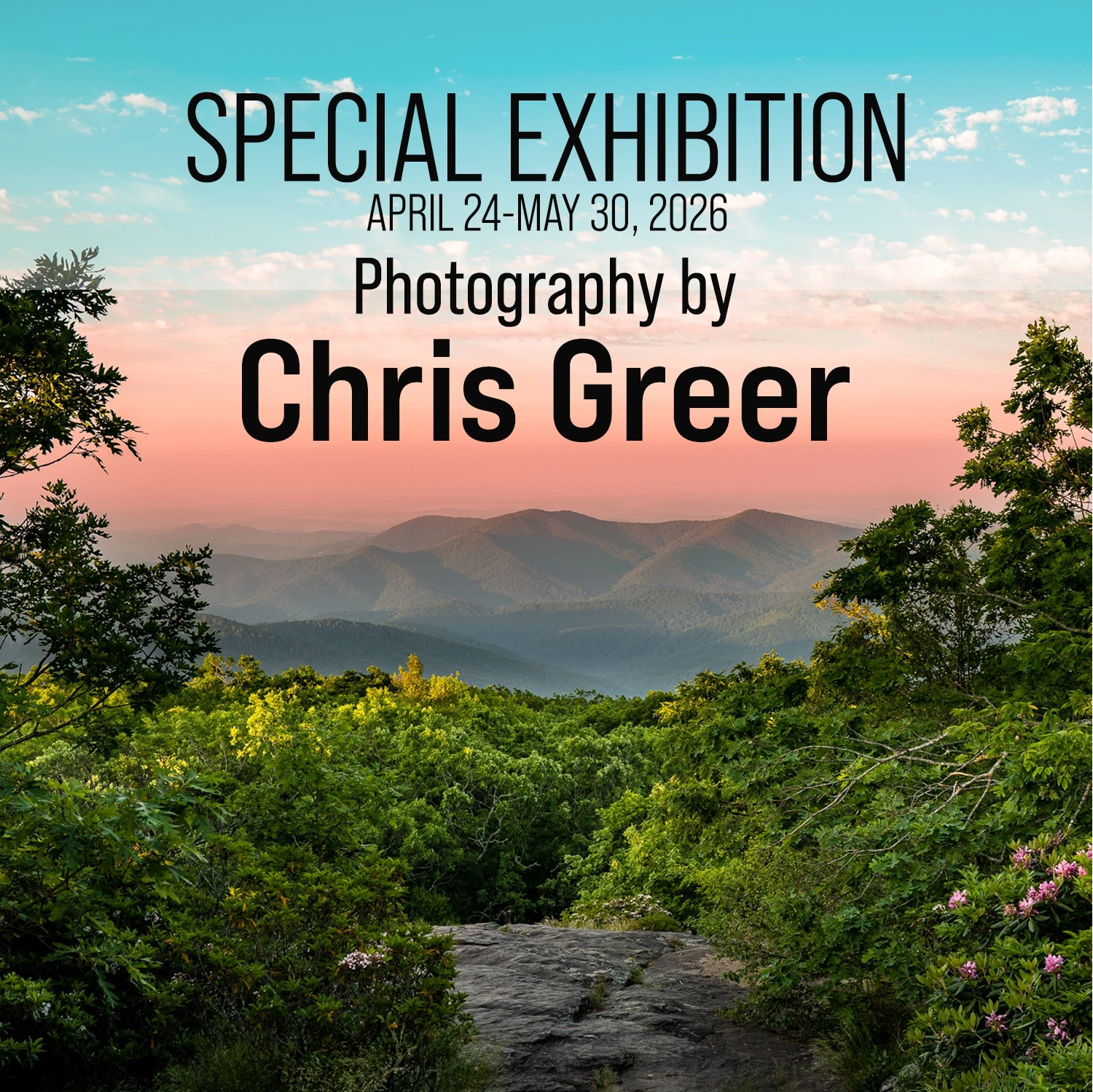 Special Exhibitions