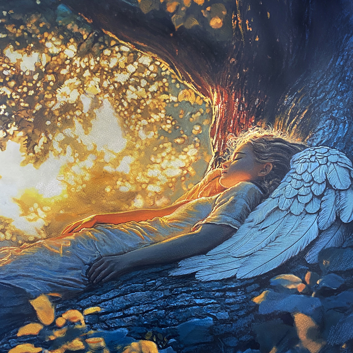 Stillness Before The Night Flights Pass - Tom Gonzalez